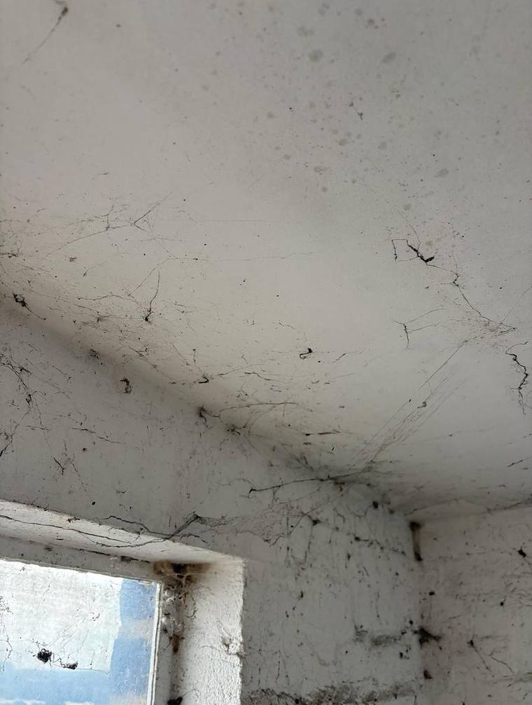 Damp proofing by Ogival in West London