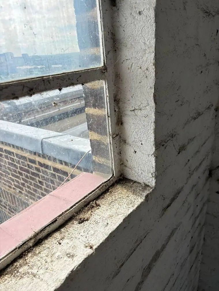 Window reveal being repaired