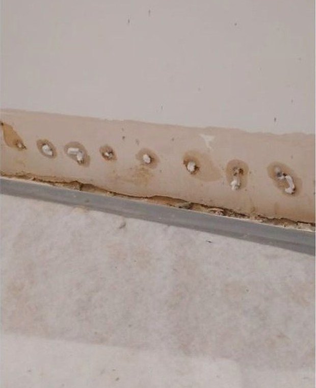Damp proofing by Ogival in West London